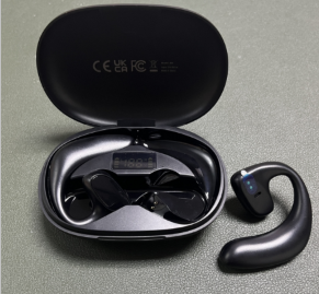 Global Connect Translation Earbuds